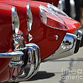 FAST Sports Cars