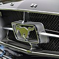 Classic Mustang
